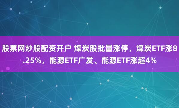 股票网炒股配资开户 煤炭股批量涨停，煤炭ETF涨8.25%，能源ETF广发、能源ETF涨超4%