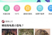 九一网页版免费在线电脑网页版,免费在线电脑网页版深度解析